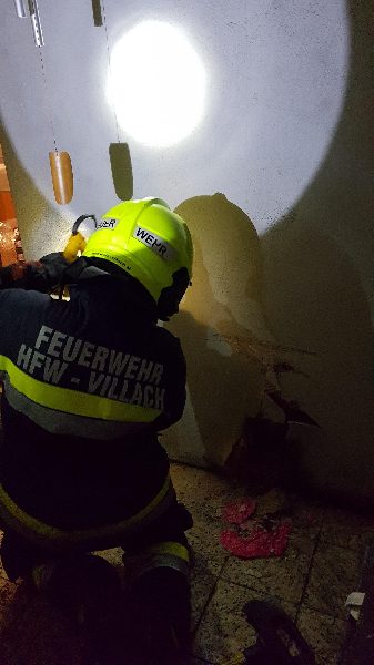 Einsatzreiche Nacht (Bild 3)